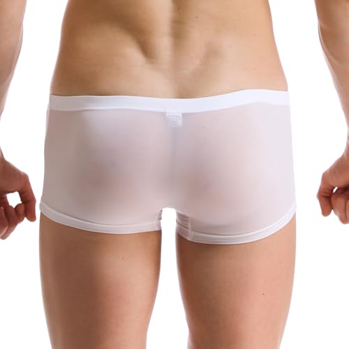 Mens Underwear Sexy See Through Boxer Ice Silk Boxers for Men Shorts Pants Breathable Comfort Trunks2