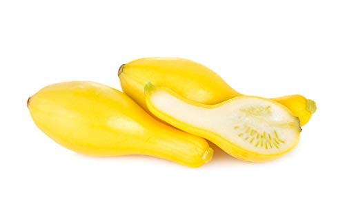 Summer Squash, Crookneck Squash Seeds #TOP6