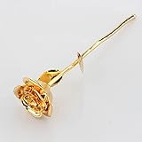 Pilipane Rosa Real bañada en Oro, Tallo Largo Premium, Rosa Dorada preservada para Siempre, Regalo para la Madre, cumpleaños, Aniversario, Boda, Caja de Regalo de Lujo de Color Dorado