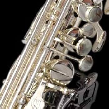 Cannonball キャノンボール サクソフォン (アルトGA5-SB) 楽天市場】Cannonball キャノンボール アルトサックス GA5-SB
