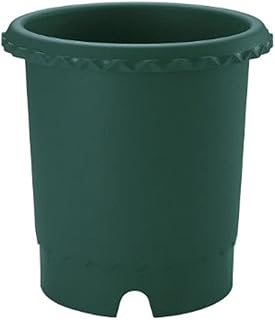 Amazon Co Jp 植木鉢 10号