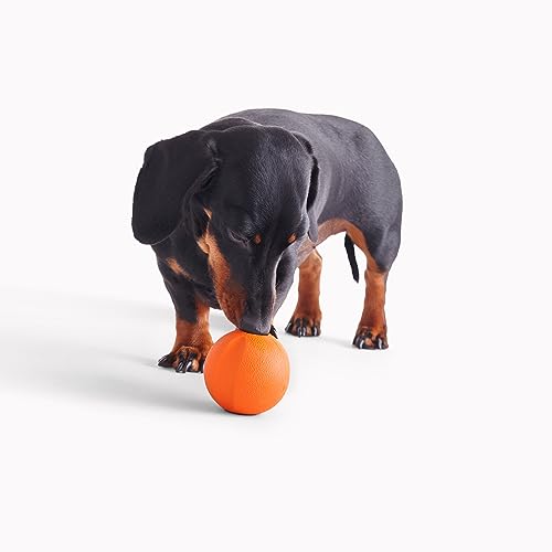 Beco Dog Toy - Natural Rubber Ball for Fetch Toy for Dogs Easy to Find Bright Colours - Orange - Image 4