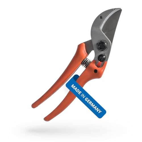Original LÖWE 15 cesoie da Giardino a Incudine 15.107 con Geometria di Bypass per Mani Piccole e Medie – Lama Curva Antiaderente Taglia Ideale Legno Duro Come Tiglio Abete Rosso larice Rovere