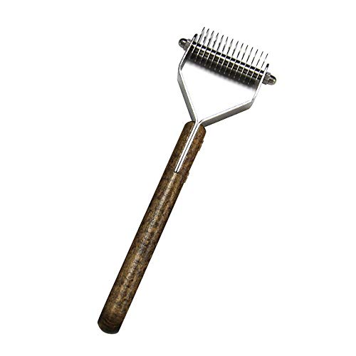 AIDIA Design Unico Stampa Collare da Cane Teschio