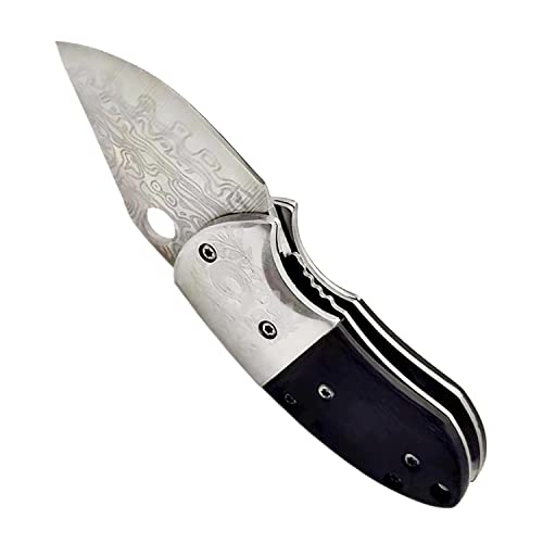 COHOMELARS Small Folding Pocket knife,Stainless Steel 1.75inch Blade,Wood Handle,Liner Lock,Mini Knife for Everyday Carry,EDC Knives for Women Men (Black style 1)