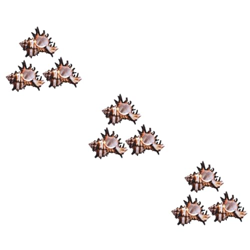 Sosoport 3sets Sea Shells for Crafting Conch Decorative Statue Fish Tank Adornments 3pcs*3