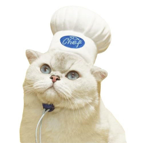 Sombrero de chef para mascotas disfraz Halloween