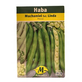 Semillas hortícolas - Haba mucha miel sel. Linda 250gr- Mascarell