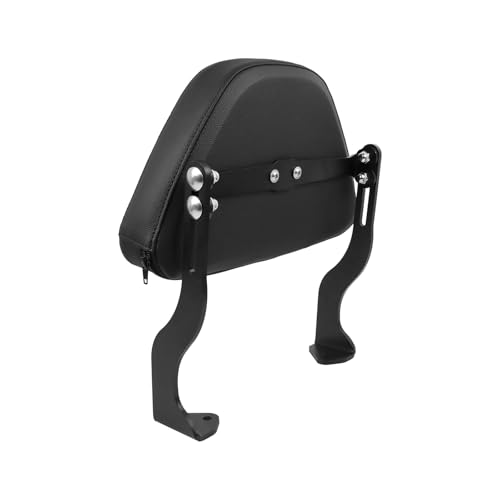 Dossier passager amovible pour Pan America 1250 RA1250S avec coussin de dos noir