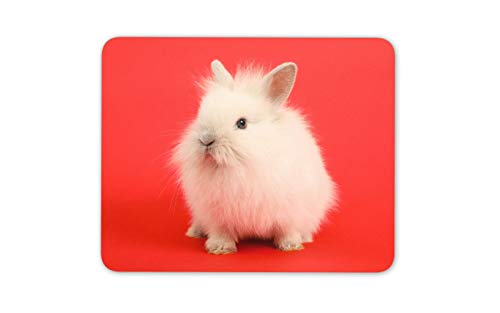 White Fluffy Bunny Mouse Mat Pad - Rabbit Cute Pet Kids Fun Computer #15927