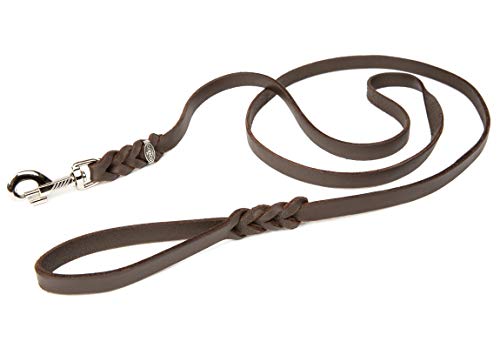 CopcoPet - Fettlederleine 1 m x 15 mm, Braun, Hunde-Leine aus Leder mit verchromtem Karabiner, geflochtene Hunde-Führleine Leder