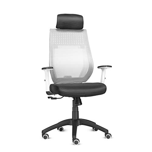 ELECWISH Ergonomic Office Chair, Hign Back Mesh Office Desk Chair with Adjustable Armrest, Hold Up to 300LBS, S-Shape Seat Back, Ergonomic Mesh Computer Desk Chair for Home Office (Grey)