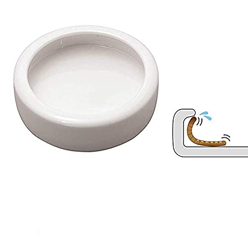 RunXF Reptiles Bowl Ceramics Dish Round Feeder Anti-Escape Breadworm Plate with Deep Edge for Lizard Gecko Tortoise (S… - Image 4