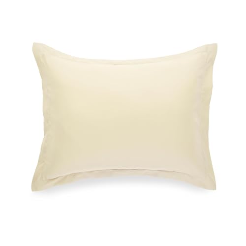 Image of Amazon Basics Lightweight Microfiber 2-Piece Duvet Cover Set, Twin /Twin XL, Beige