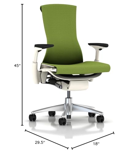 Herman Miller Embody chair