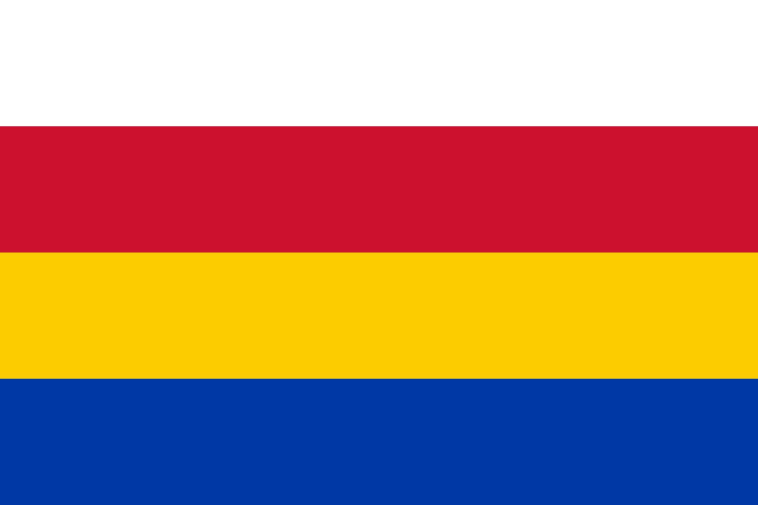 Drapeau XL Reeuwijk format paysage pour mât et décoration extérieure