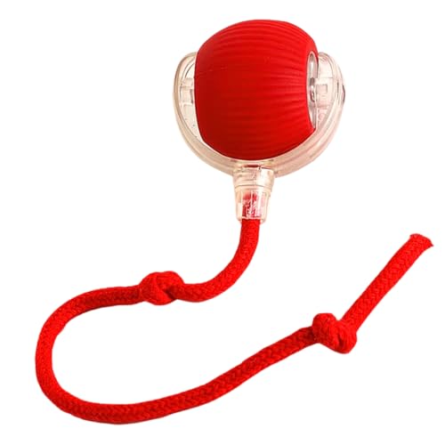 Bolinha Pet Interativa Gato Cachorro Bolinha automática Animais Brinquedos