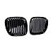 Set of Front Kidney Bumper Grille OEM Replacement Compatible For 1995-2002 BMW Z3 2 Door Convertible Coupe