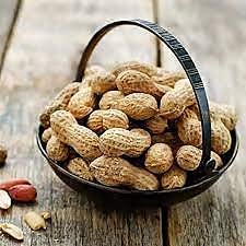 THE PARATHA & READY BITES Turf Fresh Roasted Bharuch Groundnut With Shell| Bhuni Sabut Mungfali|Siki Moongfalli |Falli |Penuts |Ready To Eat /(Original Bharuch Gujarat Special)Peanut Namkeen(500_Gms)