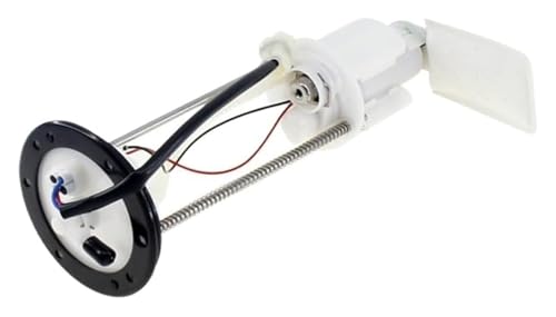 Pompe CF600 CF625 Z6 ZF SSV 9060-150900 de rechange