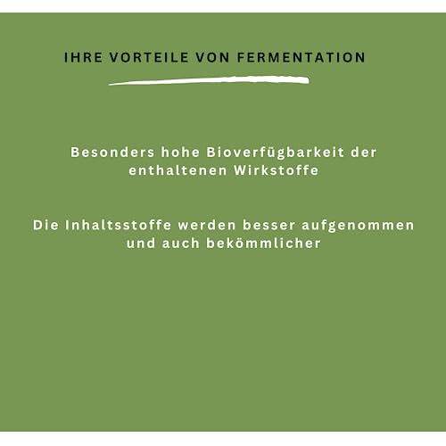 Lunatura - Fermentierte Ginkgo Kapseln - Ginkgonuss & Ginkgo Biloba Extrakt - 60 Kapseln vegan und glutenfrei - Zwei-Monats-Ration – Bild 4