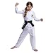 Disguise Cobra Kai Miyagi Do Kids Costume, Official Cobra Kai Costume Gi with Belt and Pants, Child Size (4-6)