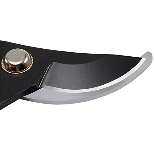 poda para jardinagem, poda profissional aço carbono para jardim, poda para economia trabalho