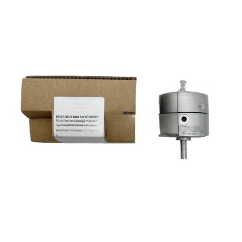 1-Piece DRVS-8-180-P Rotary Swing Cylinder