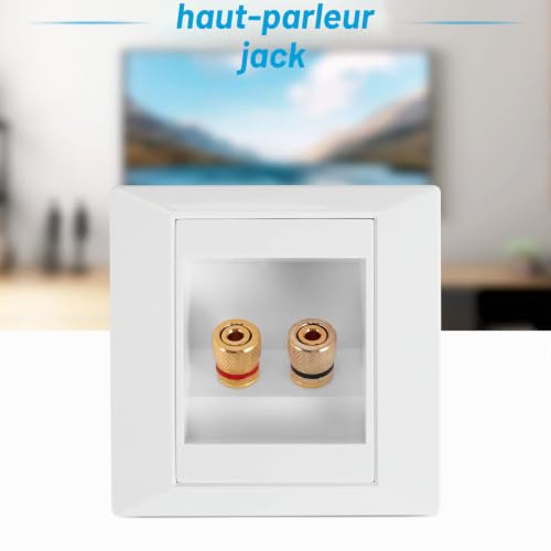 AWAOVV Prise murale audio avec 2 prises femelles pour haut-parleur avec fiche banane 86 mm x 86 mm en plastique plaqué or – vue 5