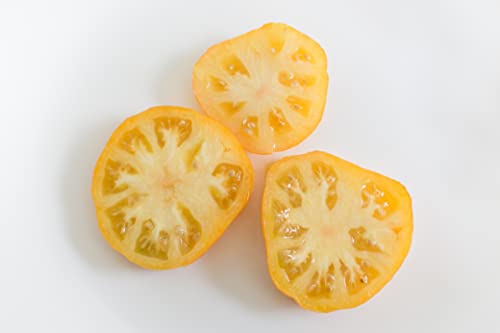 Sereniseed Certified Organic Tomato Seeds (10-Pack) – Non GMO, Open Pollinated – Cherokee Purple, Chocolate Cherry, Green Zebra, Brandywine Pink, Black Krim and More - Tomato Seeds for Planting