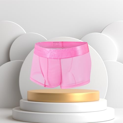 Mens Sexy Mesh Underwear Boxers See Through Sheer Trunks Ultra Thin Bulge Pouch Boxer Briefs