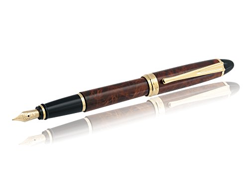 pennino: oro 14 K || imbottitura sistema: cartuccia/convertitore