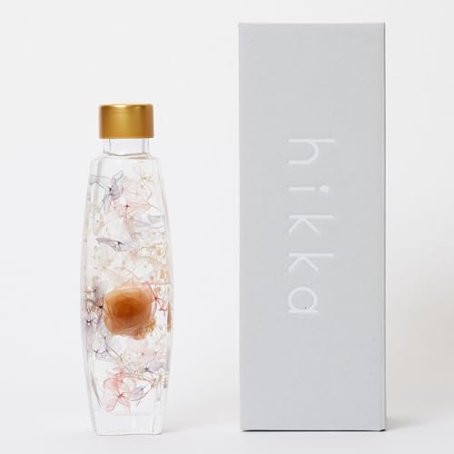 hikka (qbJ) n[oE KXr BOX (W62mm×D52mm×H180mm) (sN) vU[uht[  ͂Ȃ sv { t[ Mtg v[g ̓ iFType01