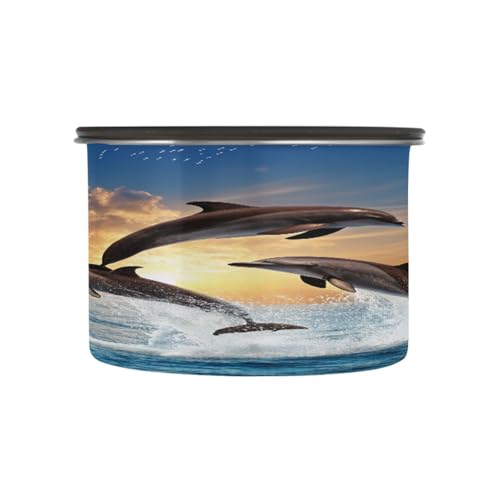 Contenedor de Café Kigai Leaping Dolphin con Tapa Hermética 17 oz Acero Inoxidable