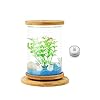 ZHANGJINYISHOP2016 Vis Tank Creatieve Roterende Desktop Vis Tank Transparant Glas Kantoor Huishoudelijke Ecologische…