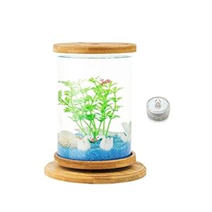 ZHANGJINYISHOP2016 Vis Tank Creatieve Roterende Desktop Vis Tank Transparant Glas Kantoor Huishoudelijke Ecologische…