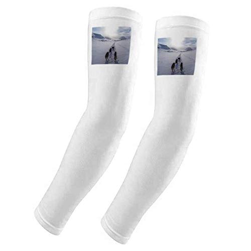Housse de gants pour chien balade hivernale en forêt enneigée