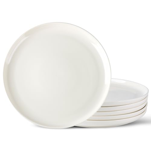 Image of AmorArc Dinner Plates Set of 6,10.5 inch Large Ceramic plates for Kitchen,Dinnerware Porcelain Dishes set- Microwave,Dishwasher Safe,Scratch Resistant,Oven Safe-6Pcs