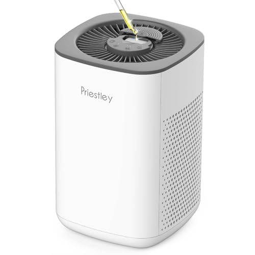 Priestley Small Air Purifiers for Home Bedroom Dorm Office...