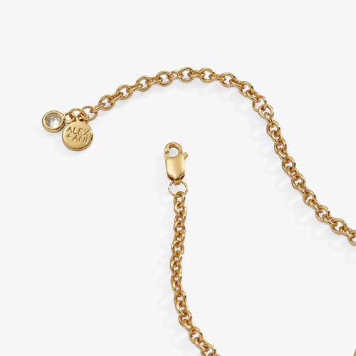 Alex and Ani Star of David Heart Bracelet, 14kt Gold Plated3