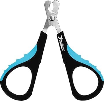 best bird nail clippers for small birds that will surprise you 2 best bird nail clippers for small birds