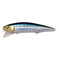 Amazon | Megabass SAZANKA 140F FA イワシ | メガバス(Megabass