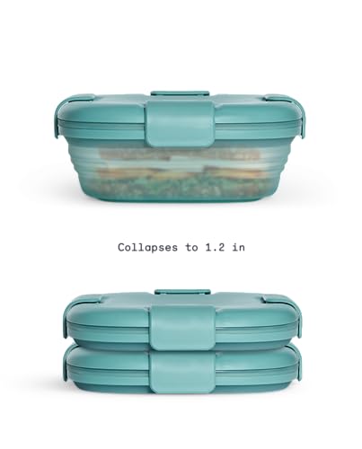 STOJO Collapsible Sandwich Box – 24oz, Reusable Food Storage Container, Silicone Bowl for Hot/Cold Food – Meal Prep, Lunch, Camping, Hiking – Dishwasher Safe (Set of 3, Translucent Eucalyptus)
