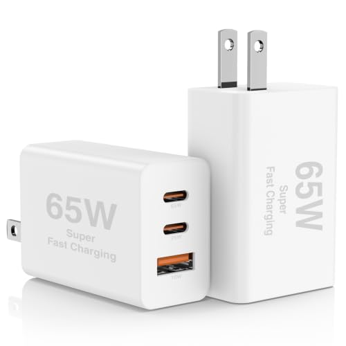 Hzevn 65W 3-Port USB-C GaN Charger (2-Pack)