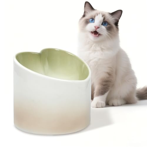 Ceramic Raised Cat Bowl Elevated Cat and Dog Bowls Whisker Friendly Tilted Elevated Cats Food Bowl Anti Vomit Pet Dish 4.72inches Height for Pet Easy Eating, Protect pet's Spine