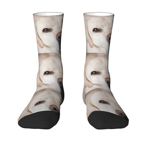 ♥ I migliori regali ---- Design personalizzato, questi calzini da squadra sono il complemento ideale per le tue gonne o pantaloncini preferiti, adatti per la maggior parte delle occasioni della vita quotidiana. Ottimo per il Ringraziamento, compleanno, festa della mamma, festa del papà, Halloween, Natale, tutti gli sciocchi , Regalo per le vacanze di San Valentino, Pasqua ecc.