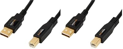 Amazon Basics USB-A to USB-B 2.0 Cable for Printer or External Hard Drive, Gold-Plated Connectors, Black, 10 Foot (Pack of 2)