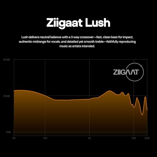 Image of Linsoul ZiiGaat Lush in Ear Monitor, 1DD+4BA Hybrid Earphone IEM, Studio Monitor Tunning Wired Earbuds with Detachable Cable for Professional Music Engineers Audiophiles (Silver)