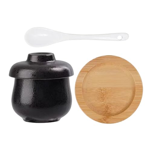 Pentola in ceramica con coperchio, piccola in ceramica a tenuta stagna da 250 ml con coperchio e cucchiaio, per noodle da cucina, per cottura a vapore, per uova, verdure, zuppe