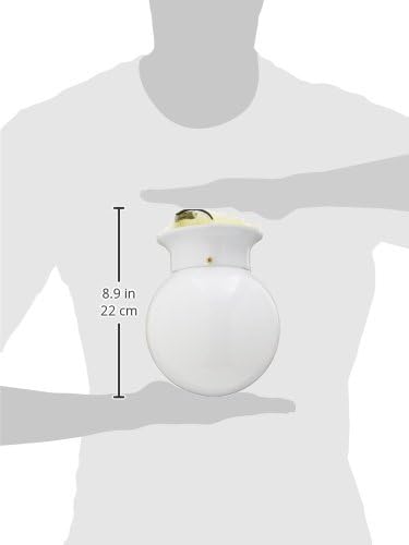 Westinghouse Lighting 66680 One-Light Flush-Mount, 1 Count (Pack of 1), White with Pull Chain